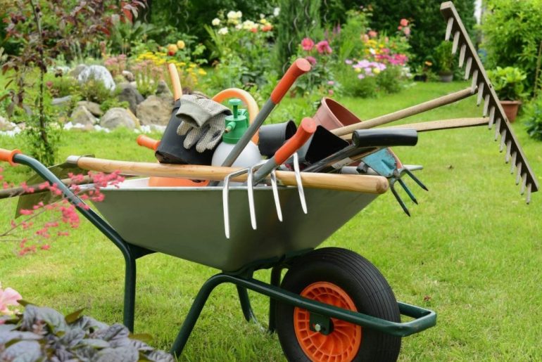 Обзор новинок садового инвентаря: что стоит попробовать в этом сезоне