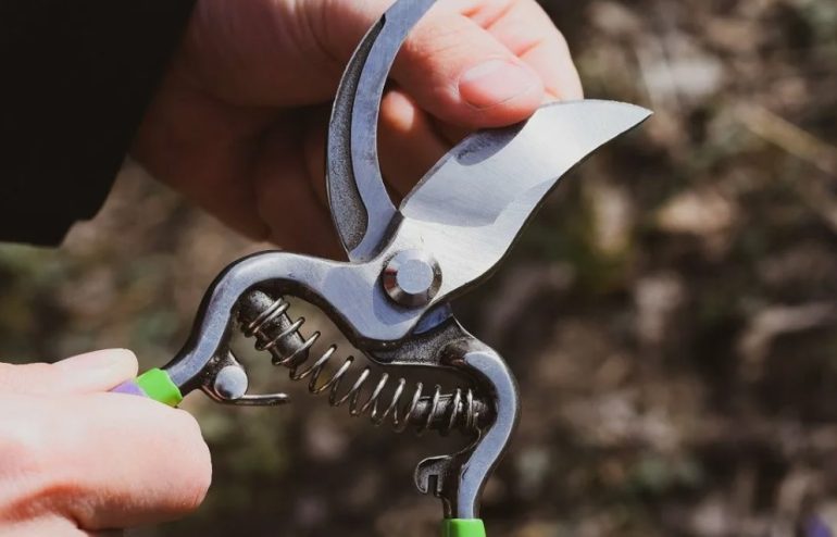 Как ухаживать за садовым инструментом, чтобы он служил годами